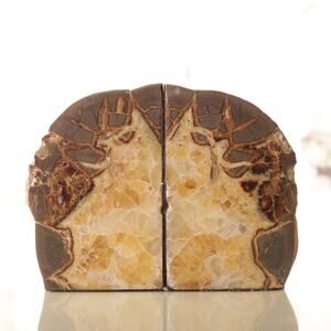Natural Large Geode Bookends 7 3/4" by 6" by 3 1/2"